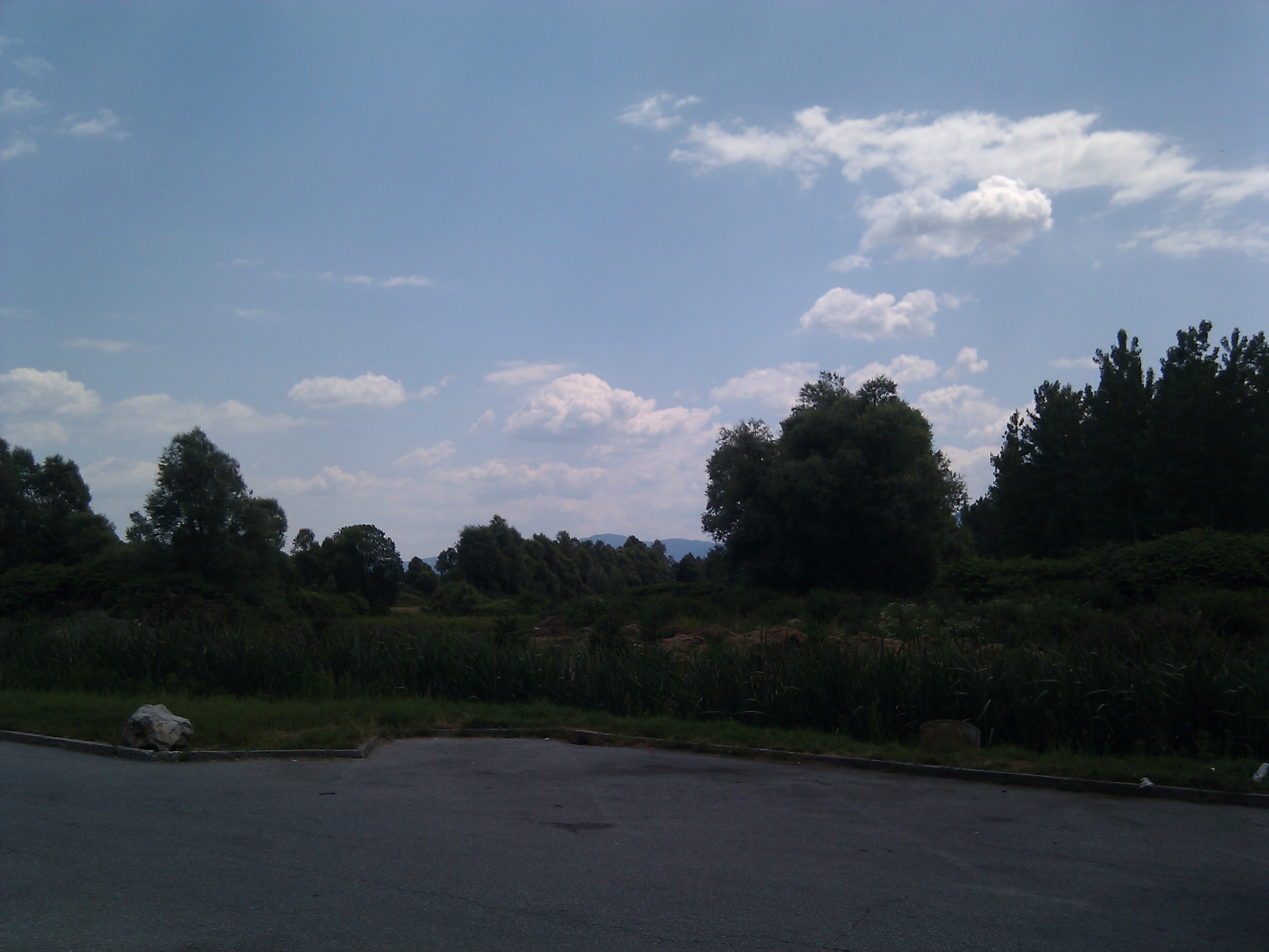2010-06-25 14.12.43
