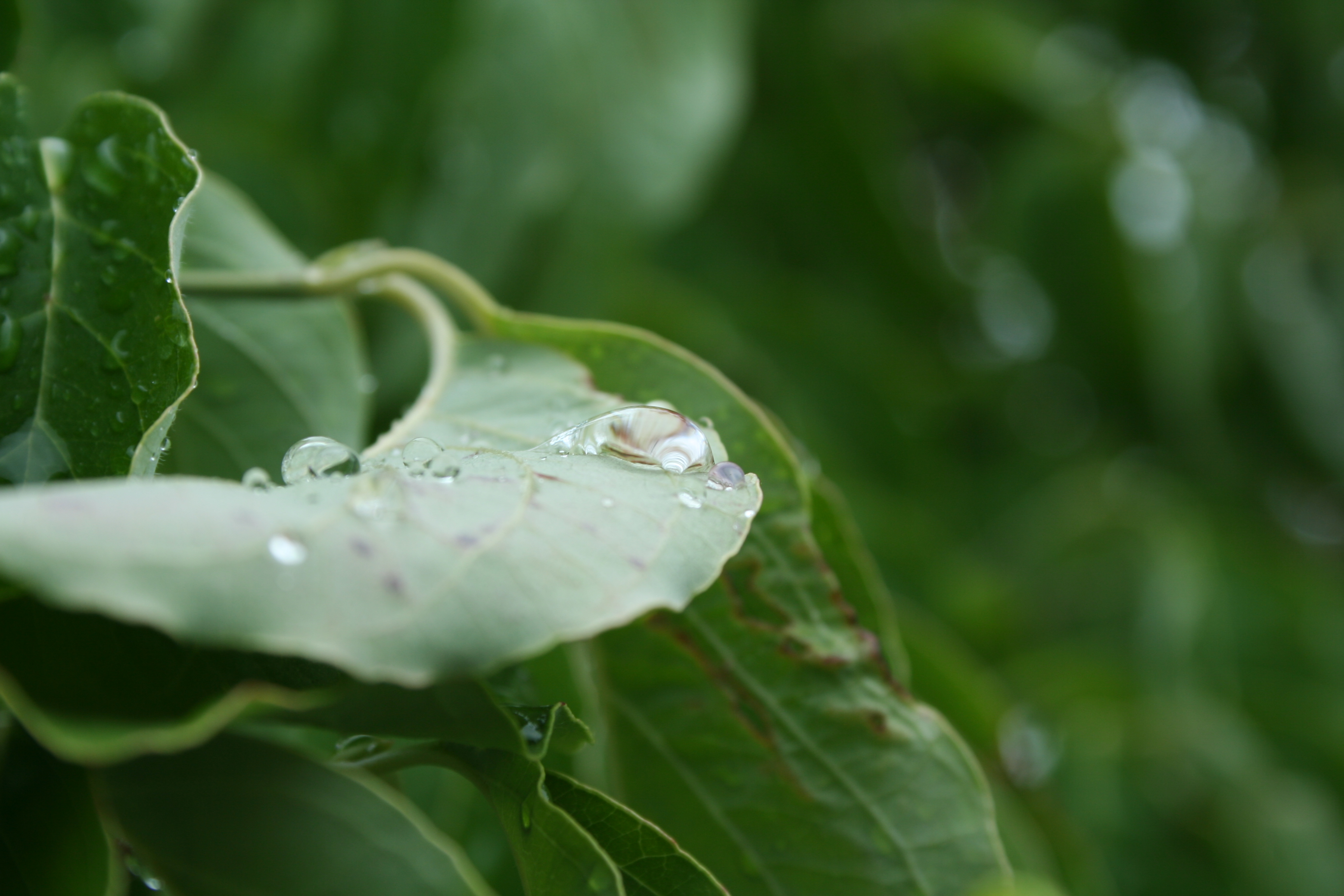 After the storm