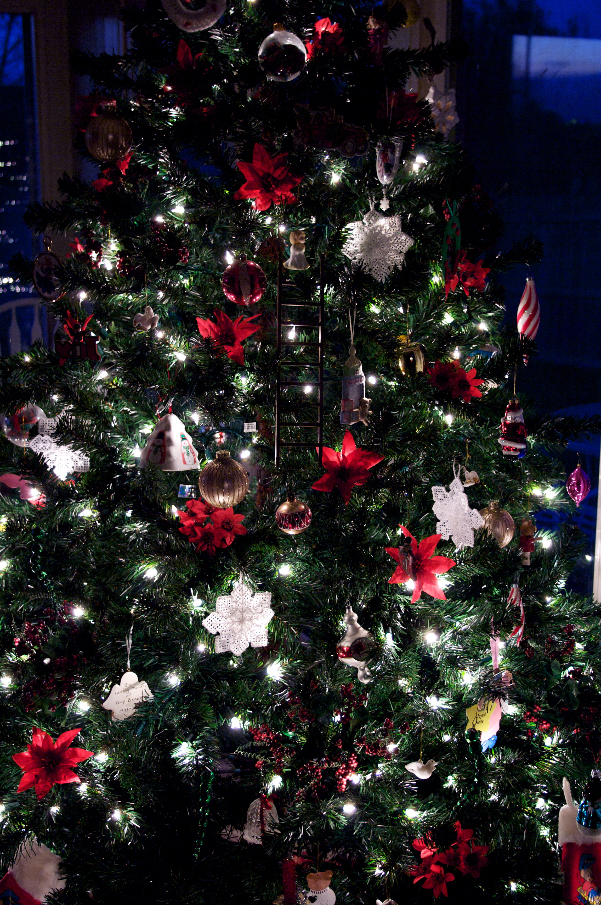 And the blasted tree is up