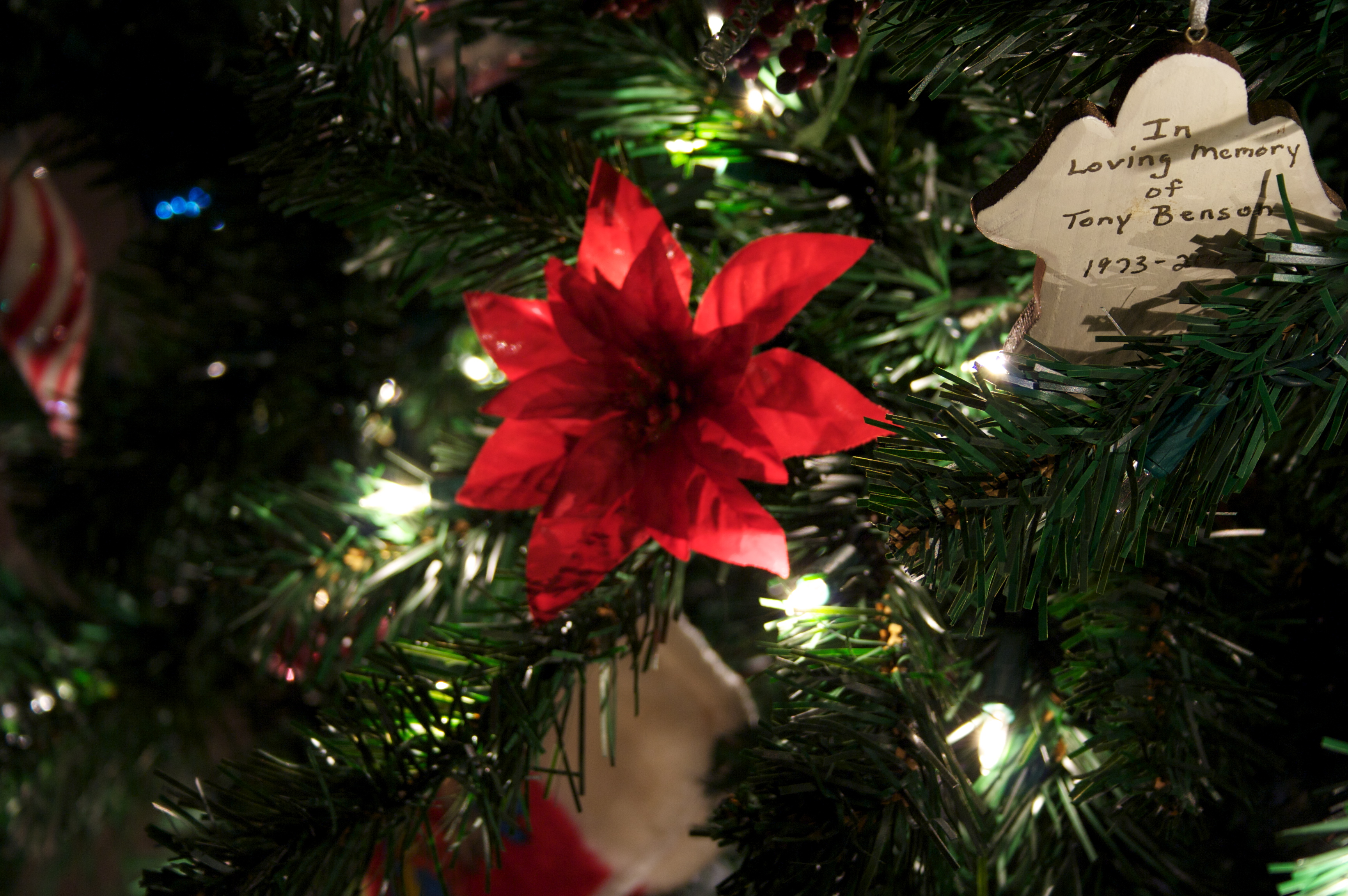 And the blasted tree is up