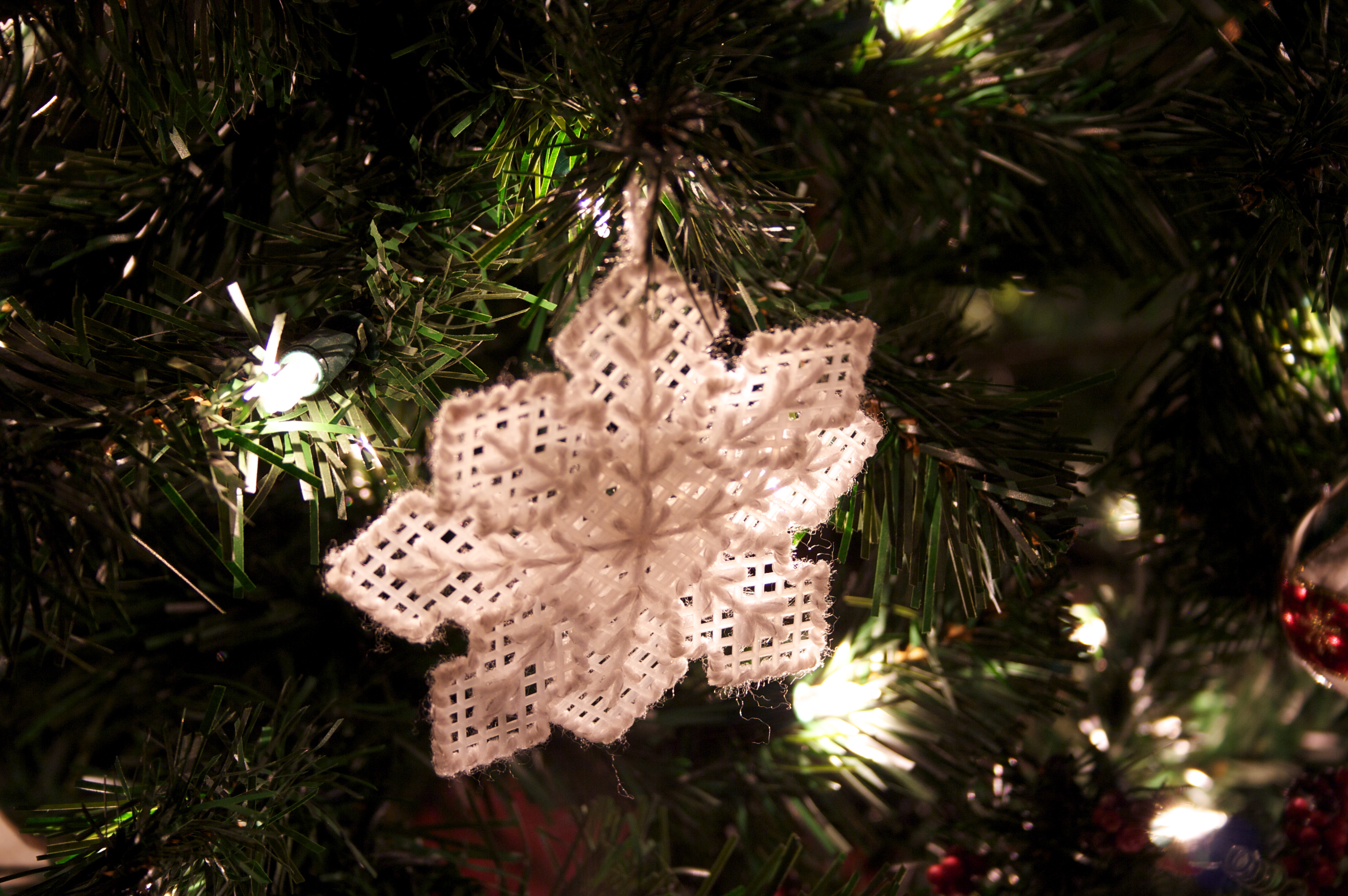 And the blasted tree is up