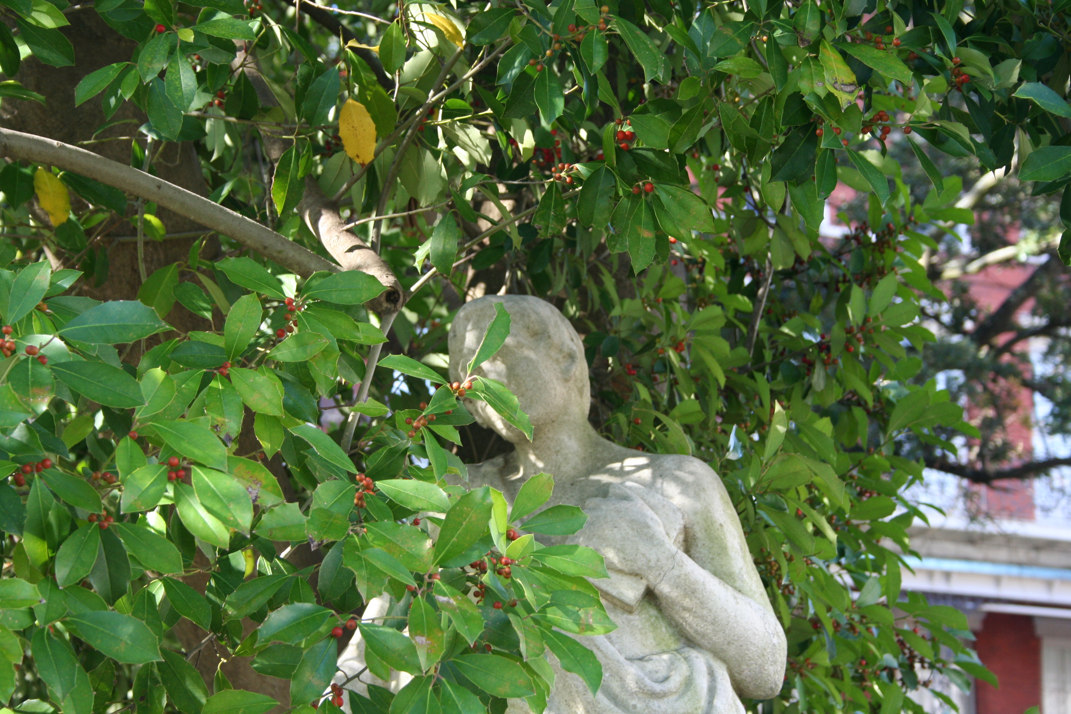 ApacheCon US 2008: New Orleans