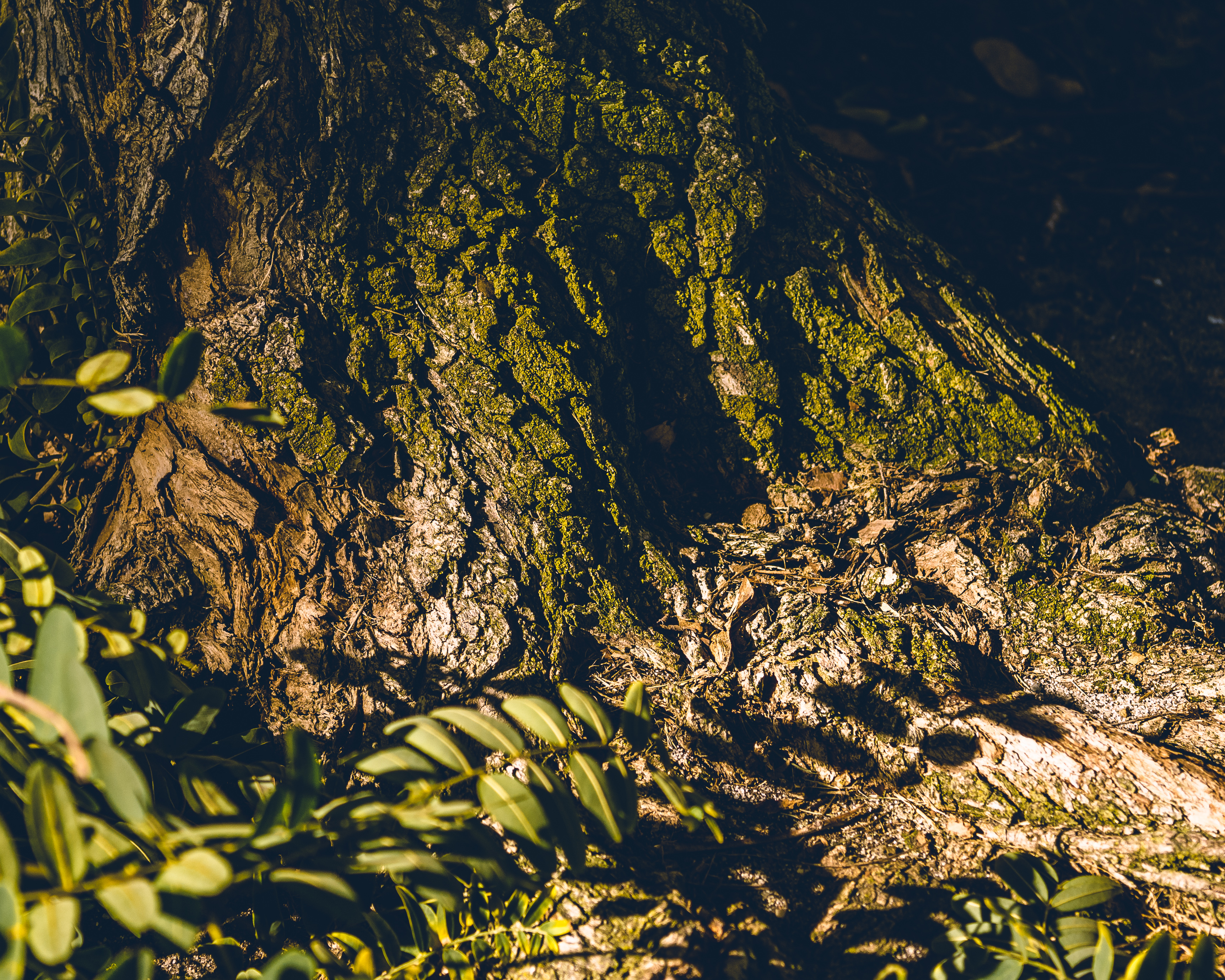 Craggy.