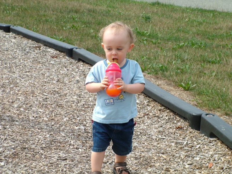 Day at the Park