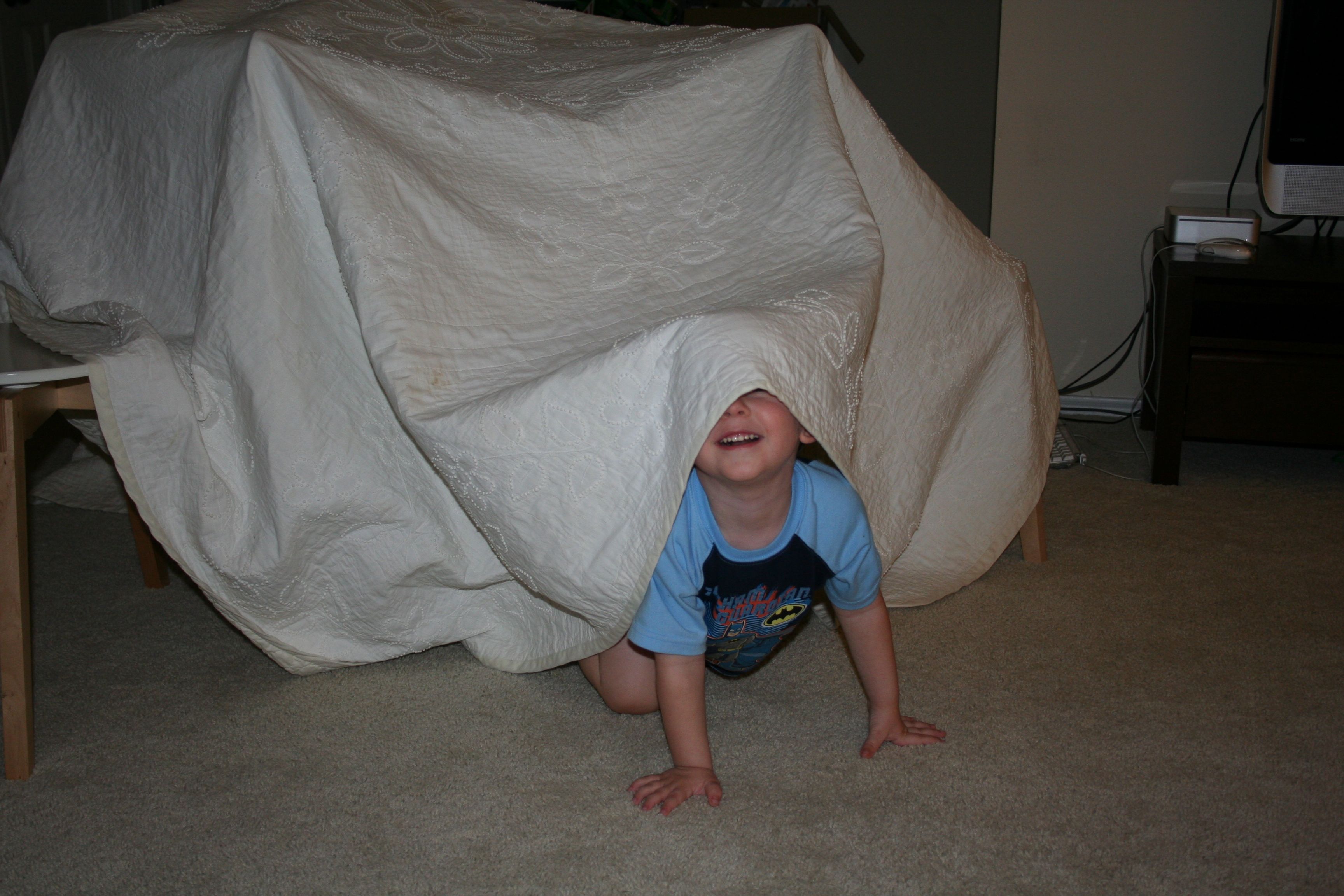 Fort Jakob