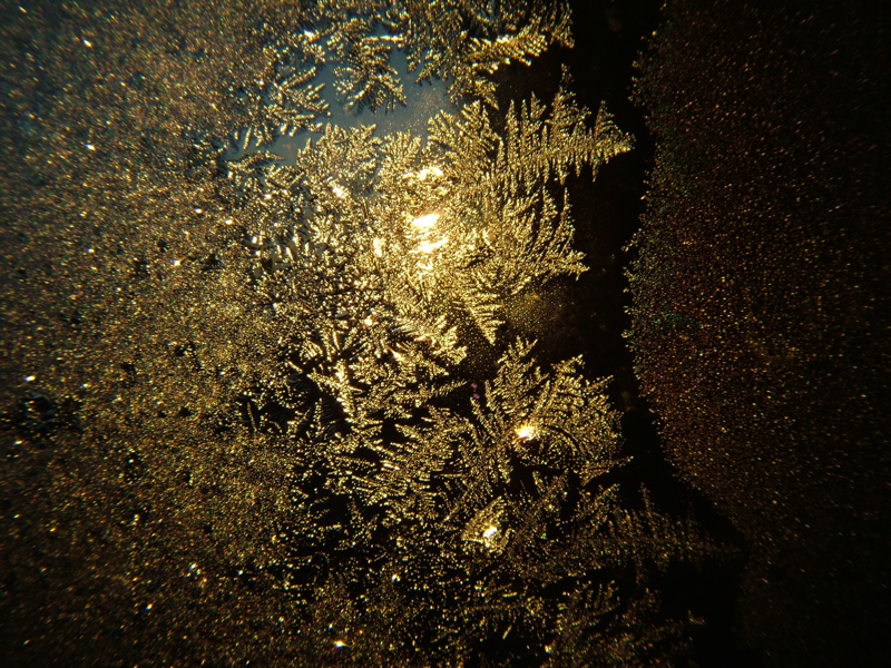 icy-03
