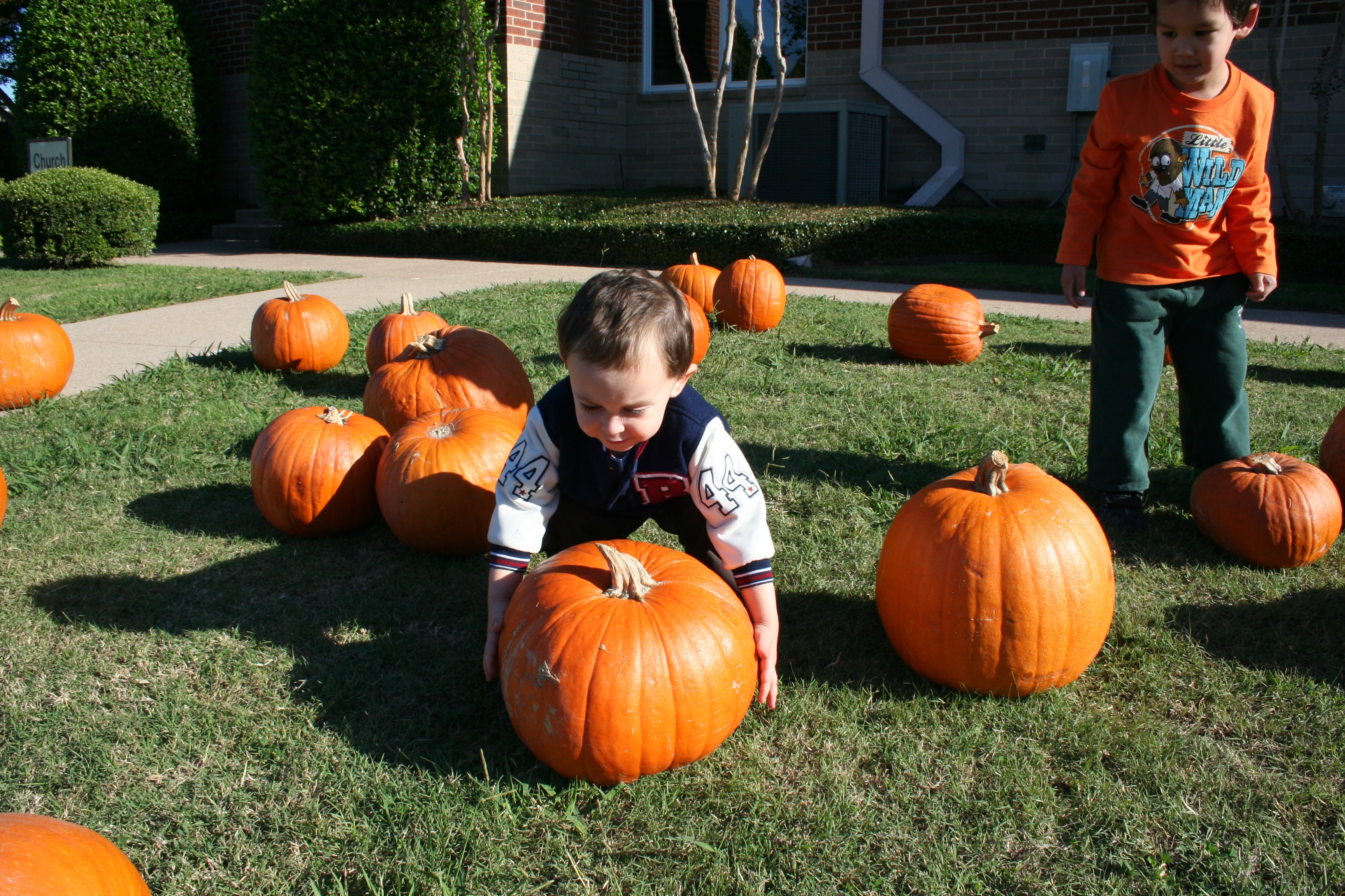 Jakob vs the Pumpkin