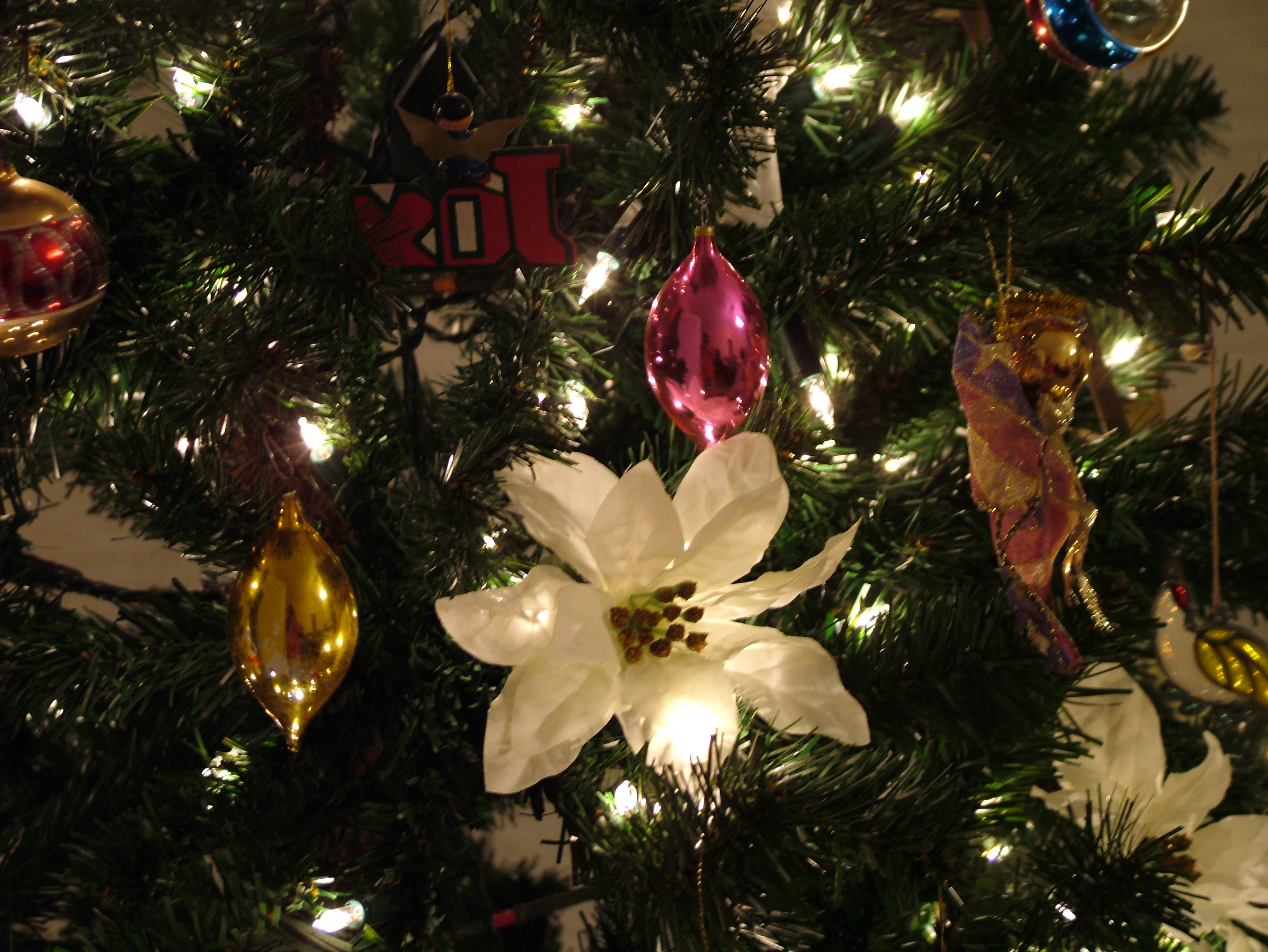 Our Tree 2004