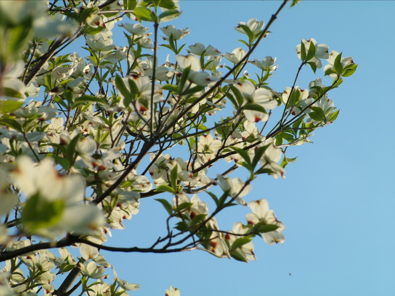 Spring is here, finally.