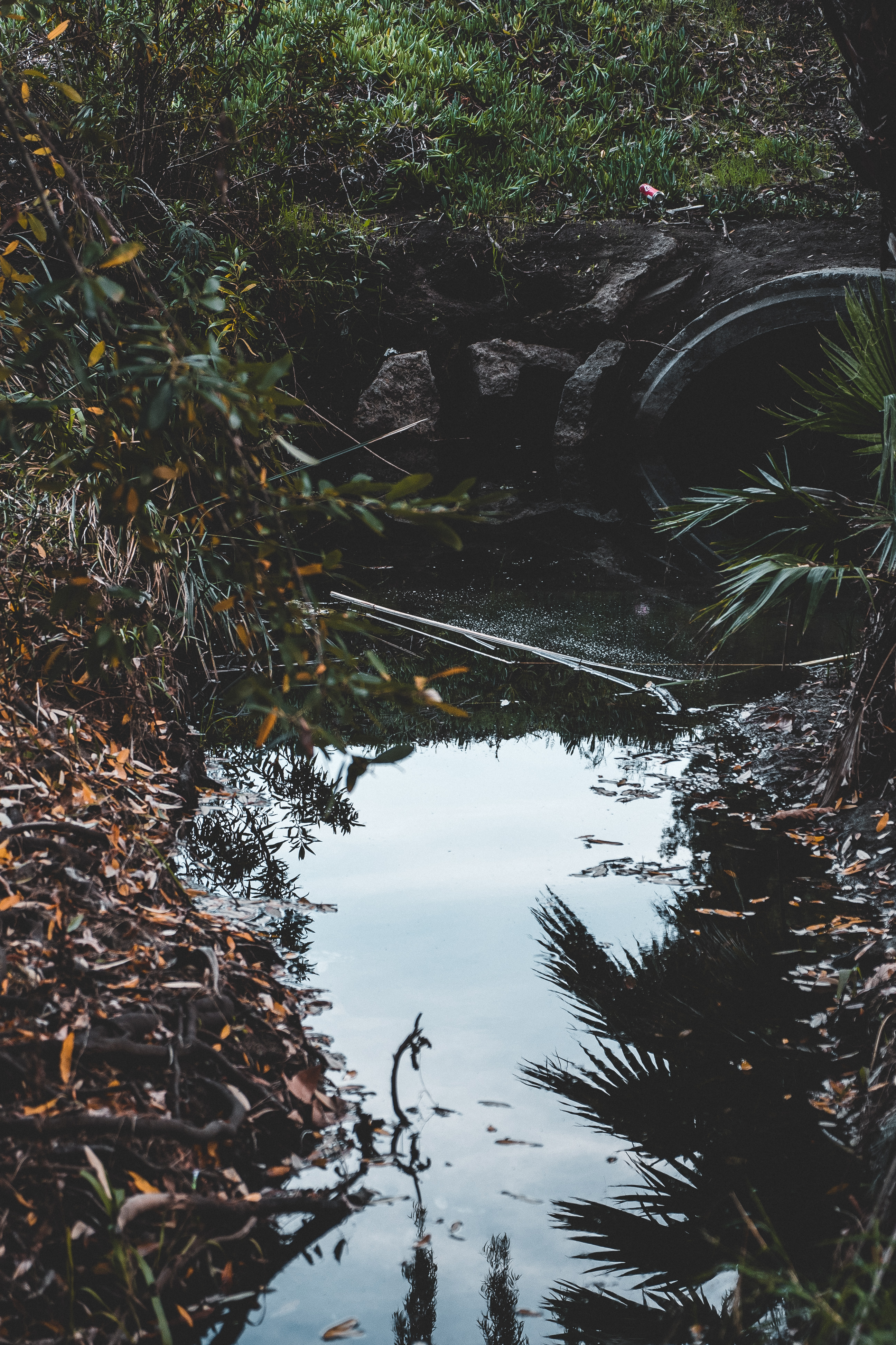 Stagnant Waters