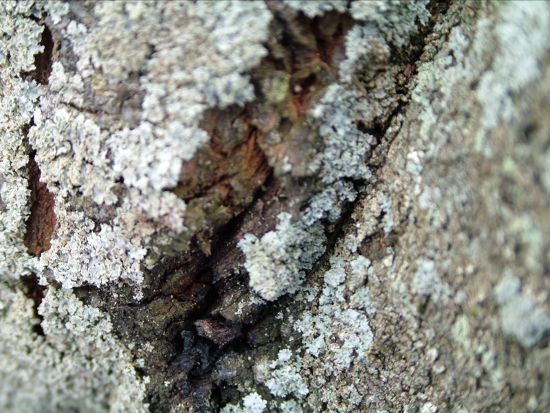 Texture 2