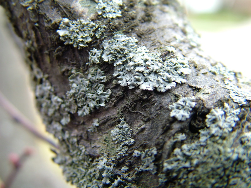 Texture
