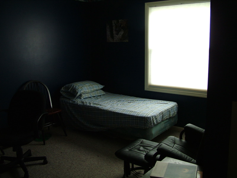 The New Office