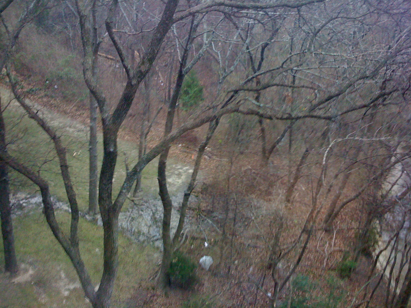 Today, rainy.