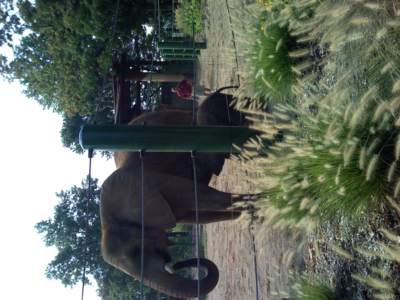 We took a trip to the Louisville Zoo