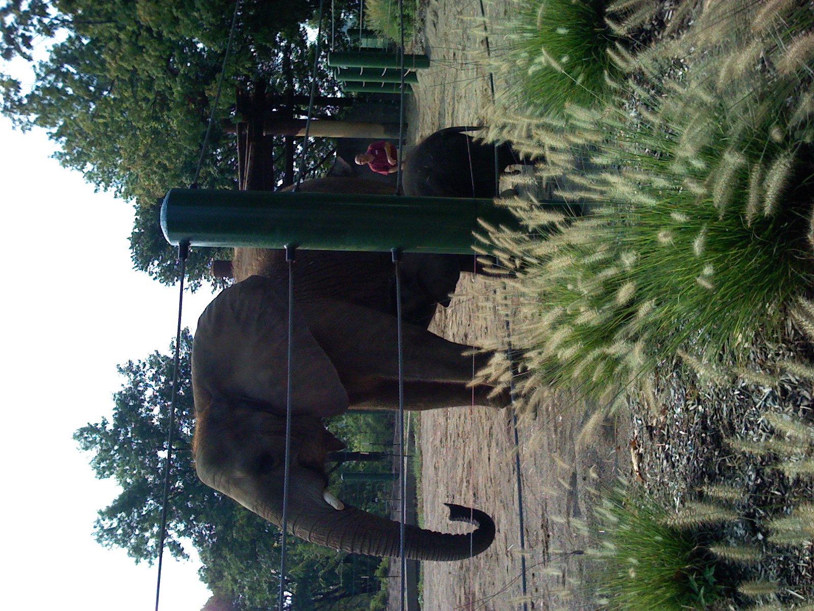 We took a trip to the Louisville Zoo