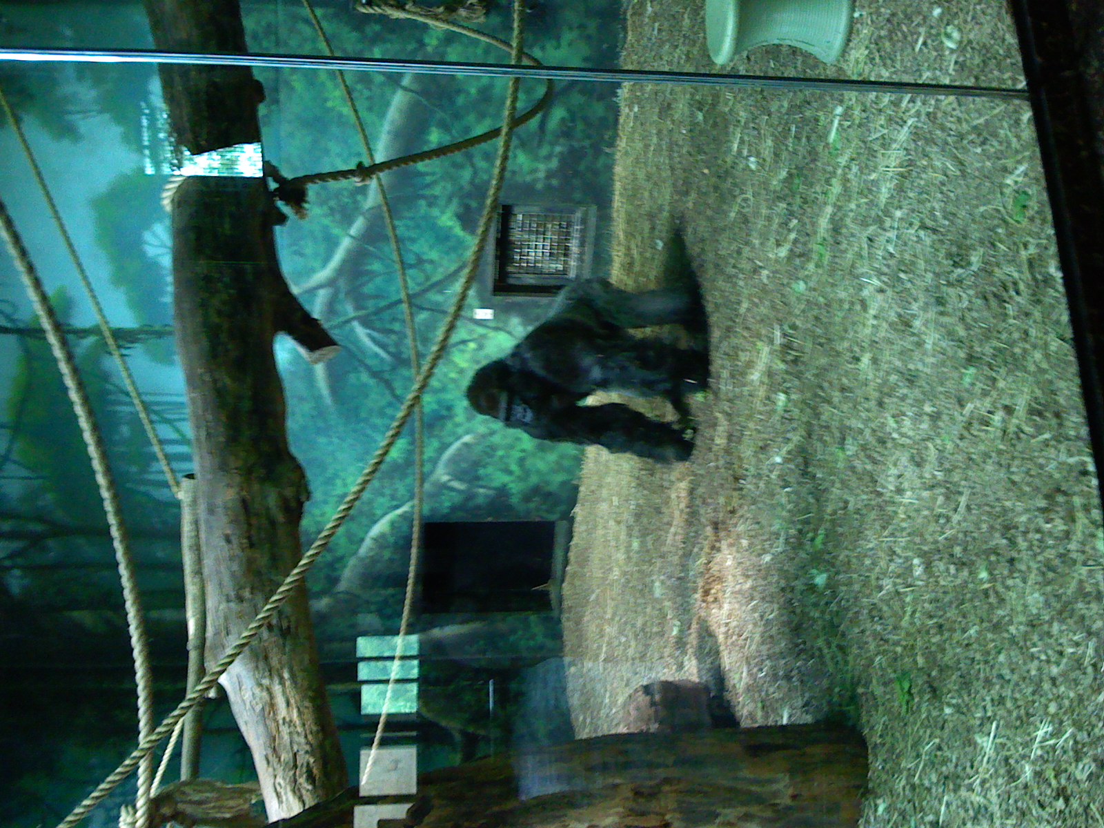 We took a trip to the Louisville Zoo