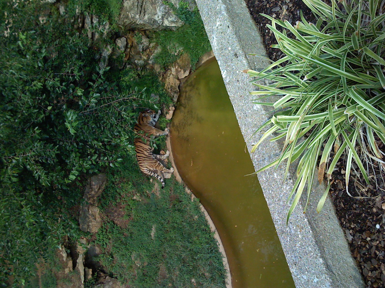 We took a trip to the Louisville Zoo