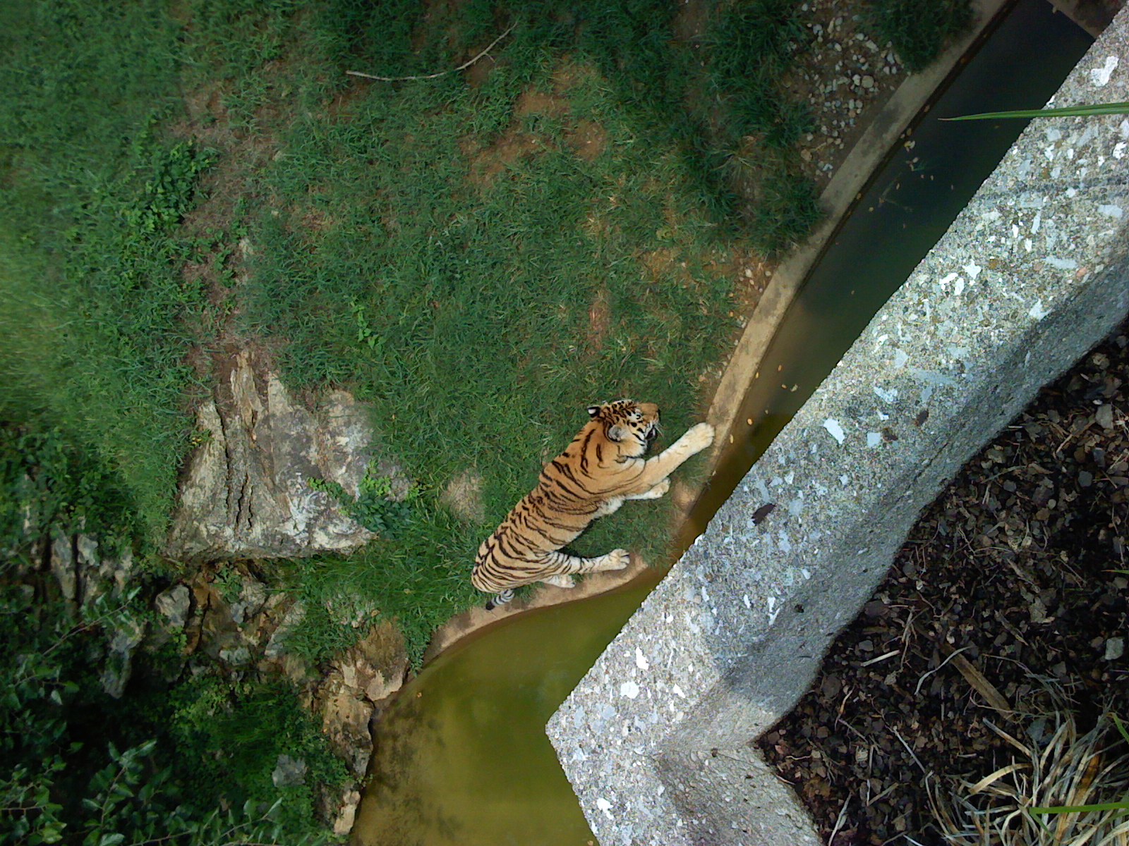 We took a trip to the Lousiville Zoo