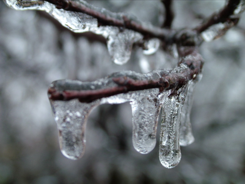 Winters Chill-01