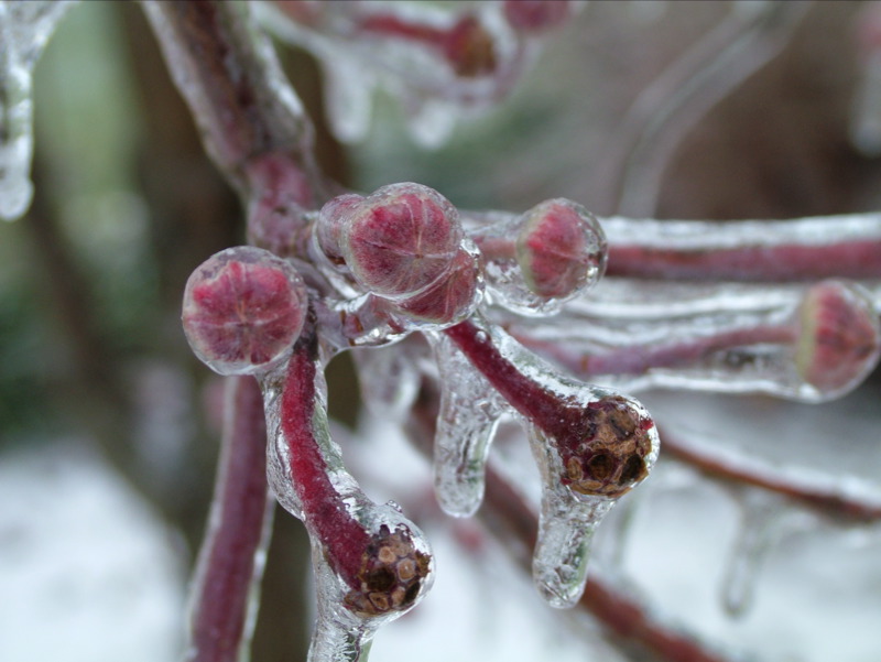 Winters Chill-03