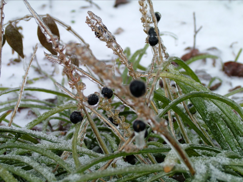 Winters Chill-05