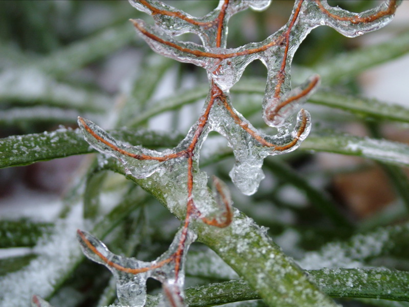 Winters Chill-06