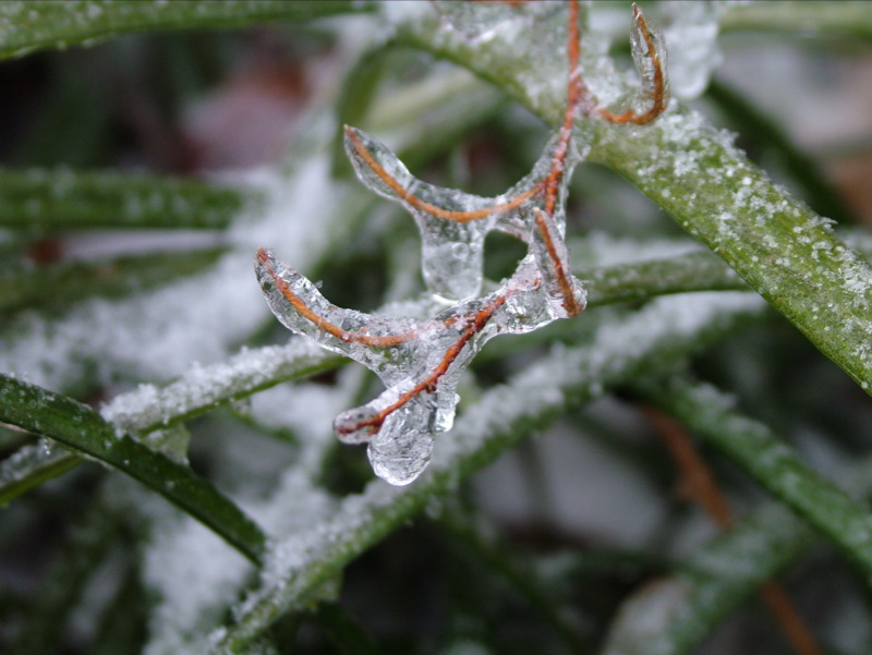 Winters Chill-07
