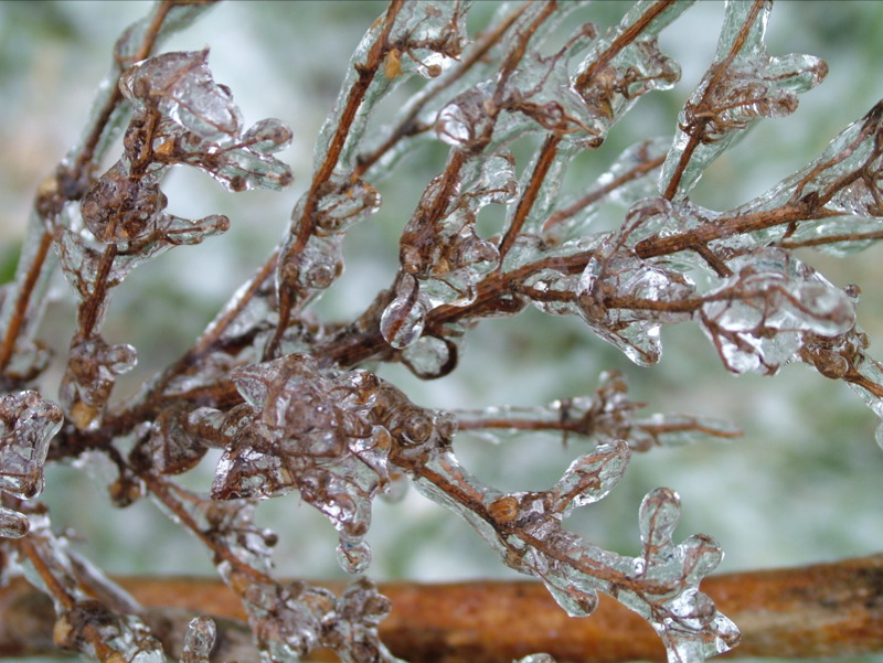 Winters Chill-08