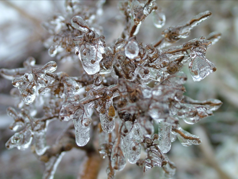 Winters Chill-09