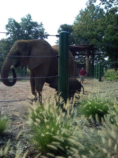 We took a trip to the Louisville Zoo
