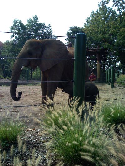 We took a trip to the Louisville Zoo