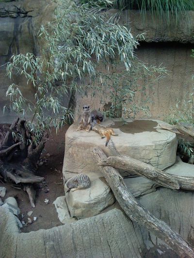 We took a trip to the Louisville Zoo