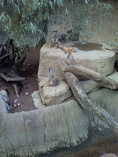 We took a trip to the Louisville Zoo