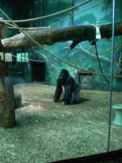 We took a trip to the Louisville Zoo