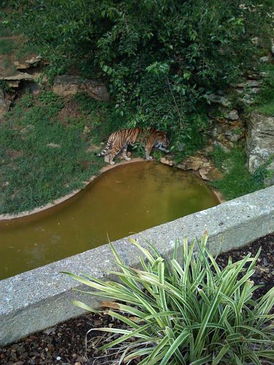We took a trip to the Louisville Zoo