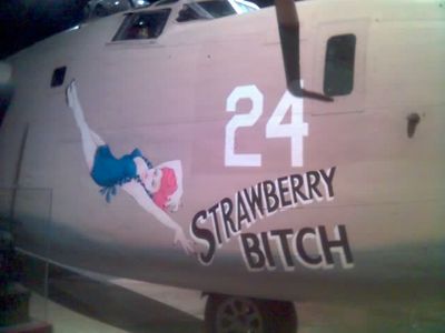 Fun Times at the Airforce Museum - Strawbery Bitch