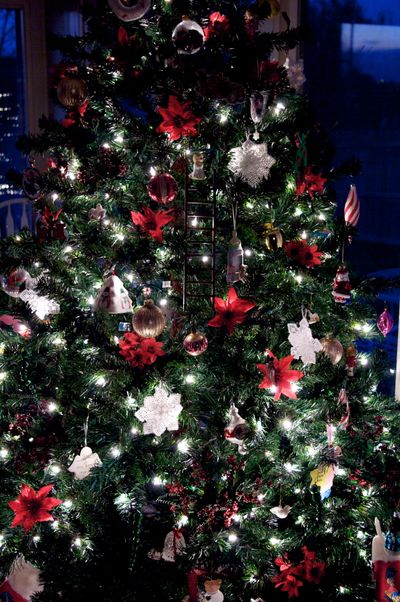 And the blasted tree is up