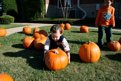 Jakob vs the Pumpkin