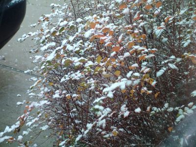 First Snow of the Season!