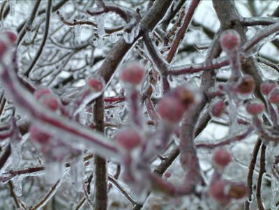 Winters Chill-02