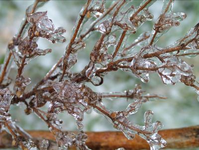Winters Chill-08