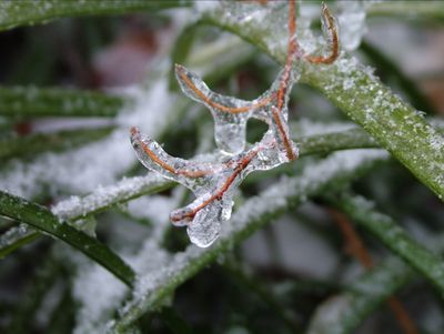 Winters Chill-07