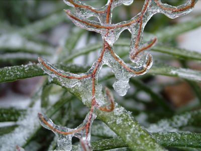 Winters Chill-06