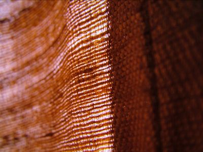 Draperies Rock... and so does orange