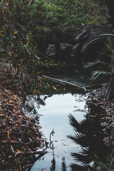 Stagnant Waters