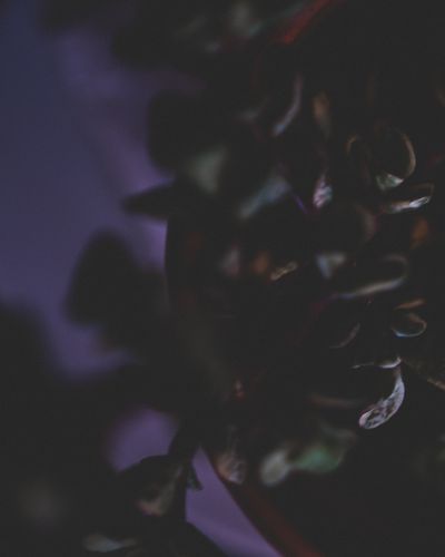 P1001052