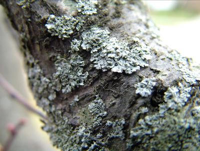 Texture