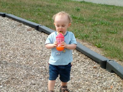 Day at the Park