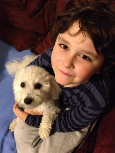 Angel, with puppy.
